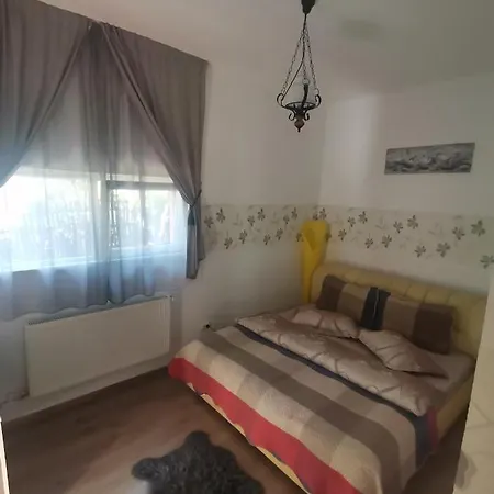 Guest house Casa Dixi Busteni